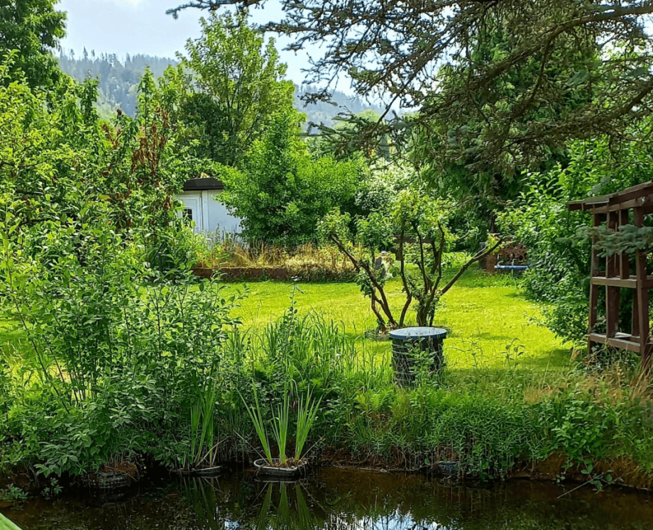 Der Garten vor wenigen Jahren Einfamilienhaus Sonneberg