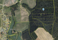 Bild (0e5a7313c8cd8c7b2c566848f310871e): Waldgrundst�ck in K�sten, Lichtenfels