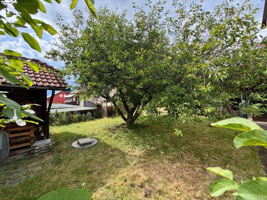Garten Einfamilienhaus Weidhausen bei Coburg