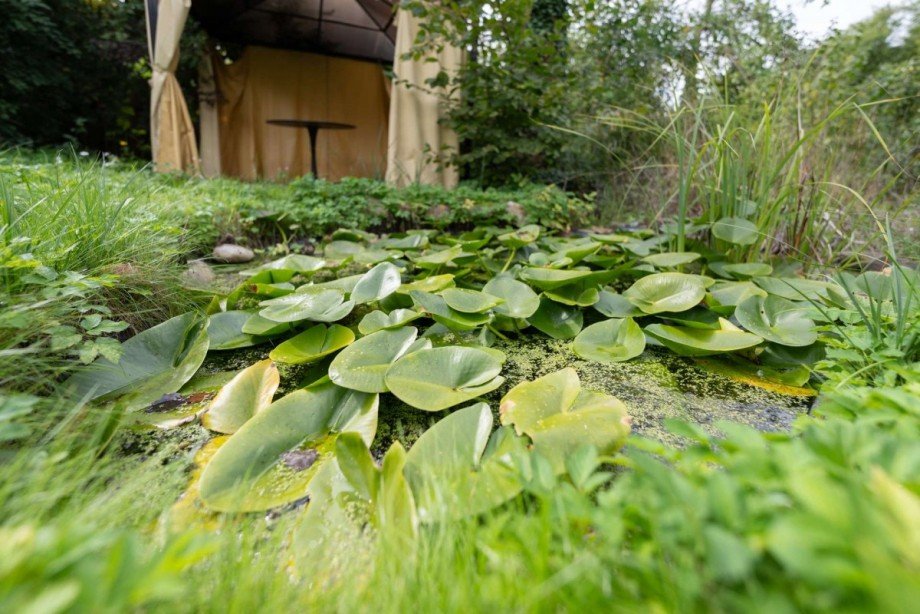 Der Gartenteich Einfamilienhaus Mitwitz
