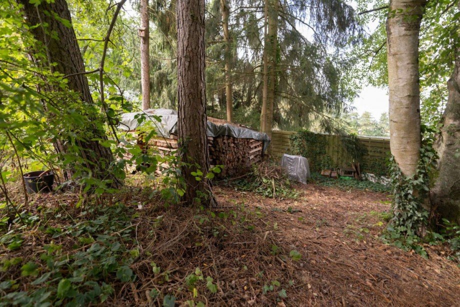 Naturgarten im unteren Grundst�cksteil Einfamilienhaus Mitwitz