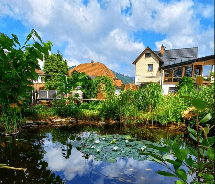 Gartenteich vor wenigen Jahren Einfamilienhaus Sonneberg