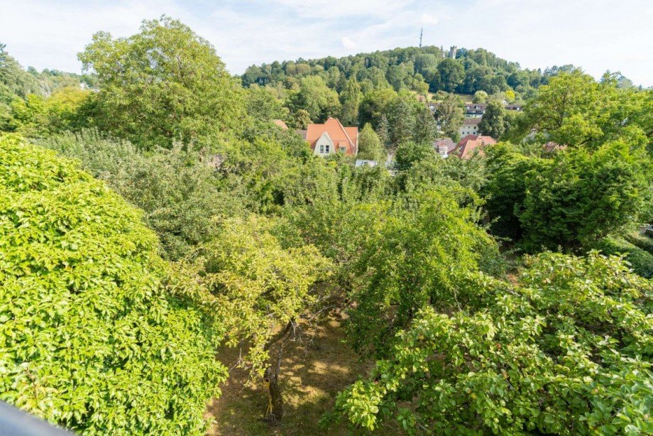 Blick vom Balkon in den Garten Einfamilienhaus Coburg