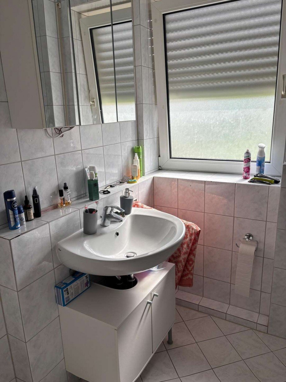 Badezimmer Wohnung Untersiemau