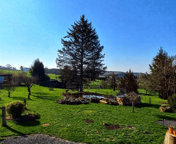 Der Garten vor wenigen Jahren Einfamilienhaus Sonneberg