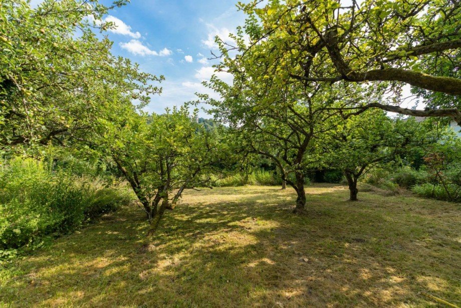Obstgarten Einfamilienhaus Coburg
