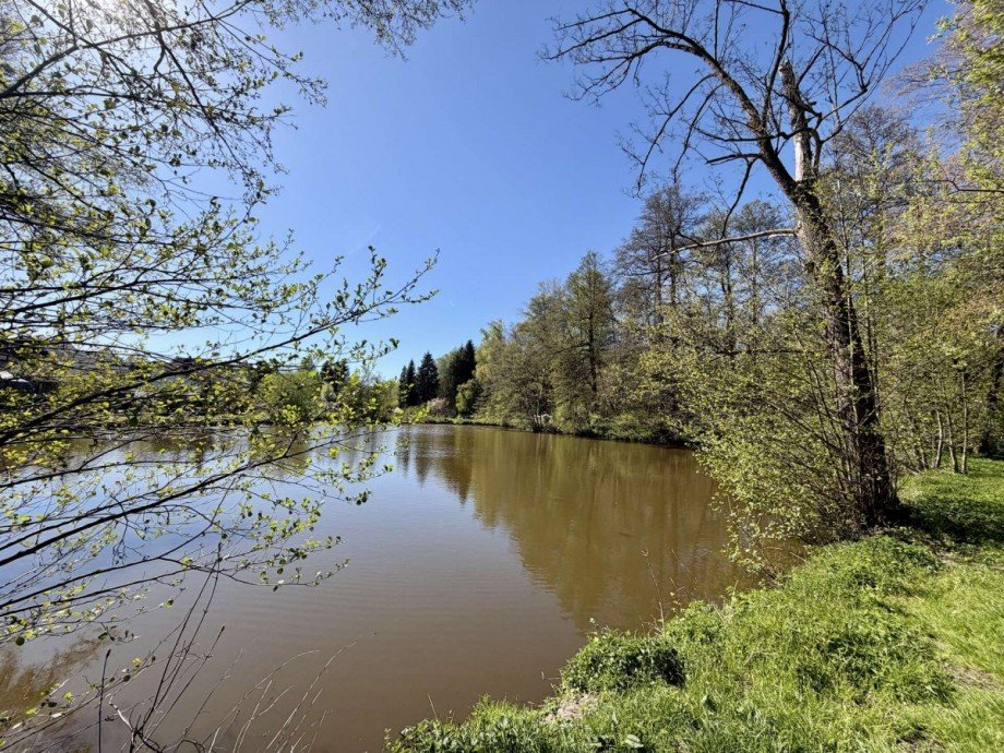 Umgebung, Natur - pur direkt hinter dem Grundst�ck! Einfamilienhaus Neustadt bei Coburg